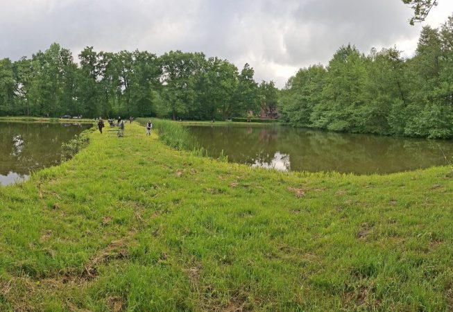 Teichanlage Woltersburg