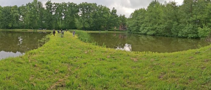 Teichanlage Woltersburg